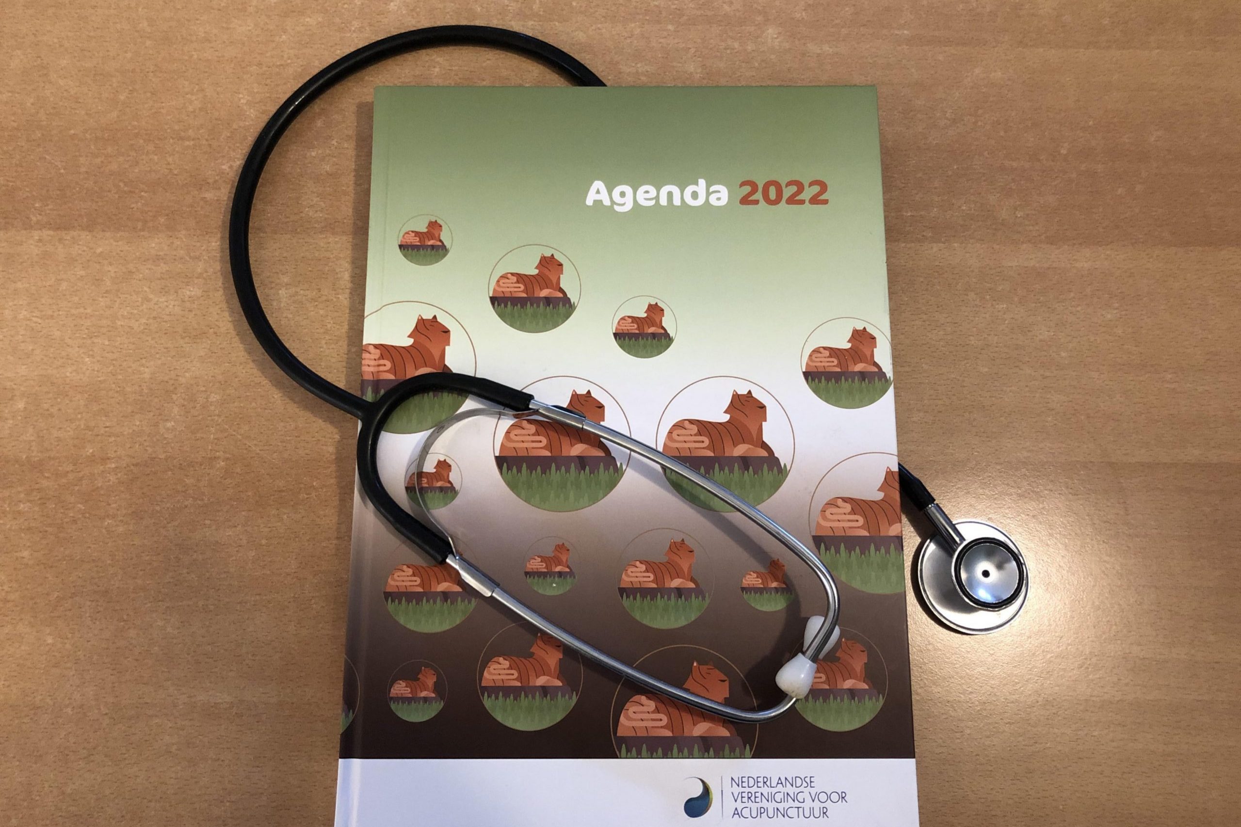 Acupunctuur Houten zorgverzekering 2022