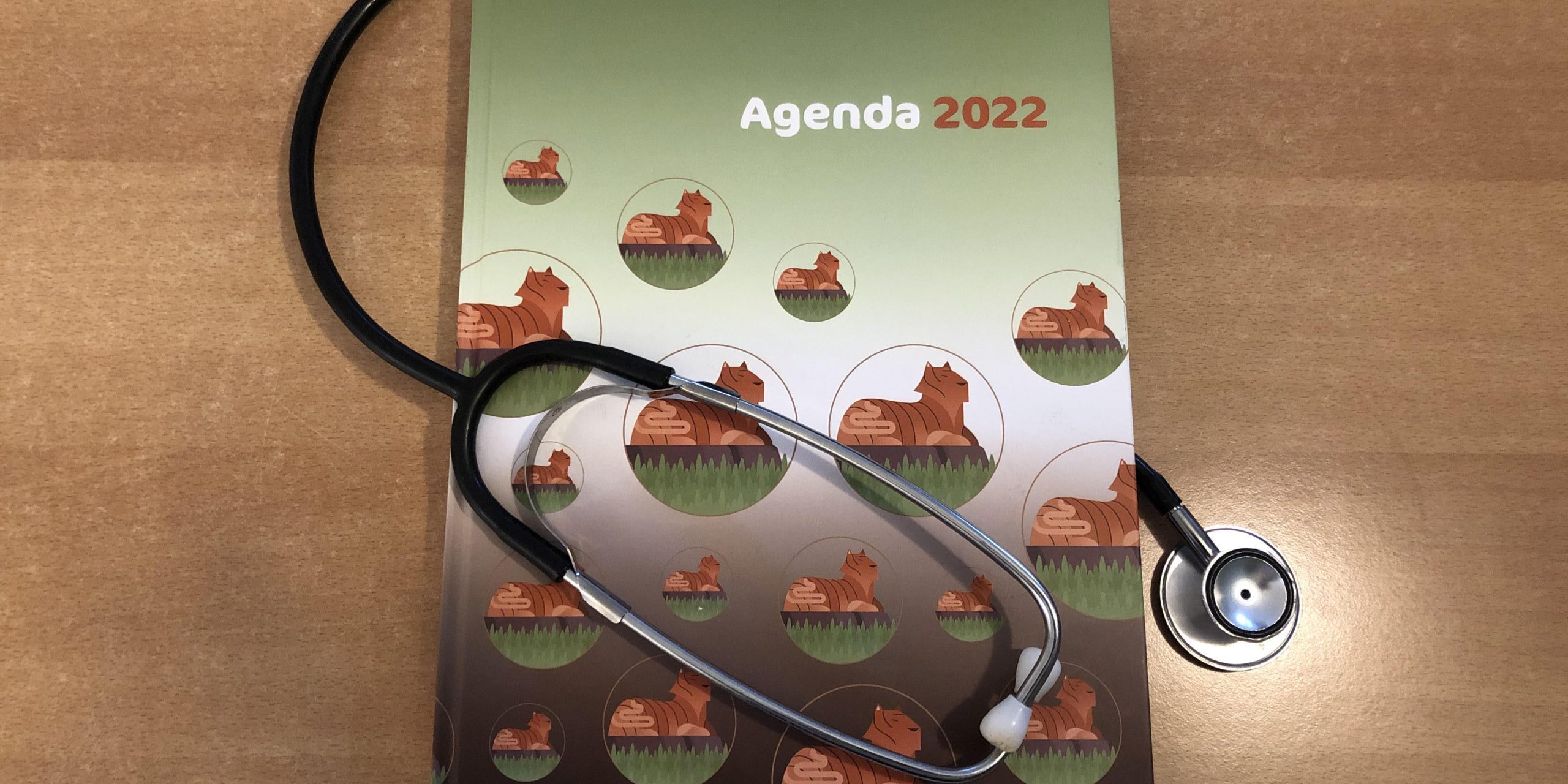 Acupunctuur Houten zorgverzekering 2022