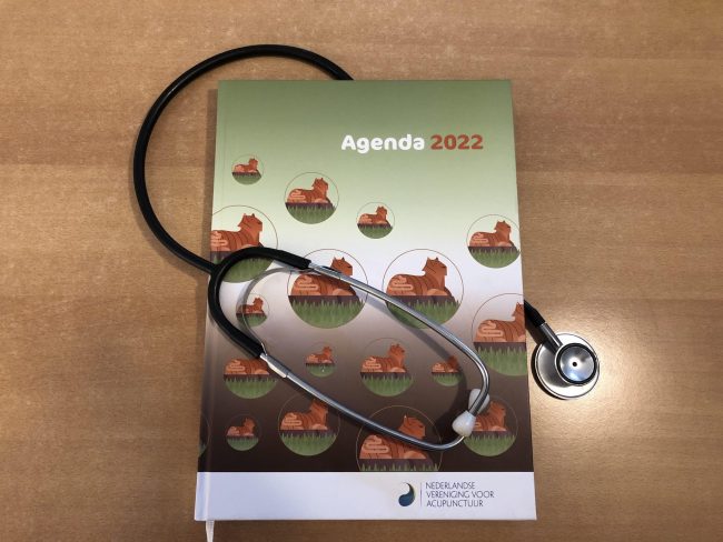 Blog Verzekering afbeelding Acupunctuur Houten zorgverzekering 2022